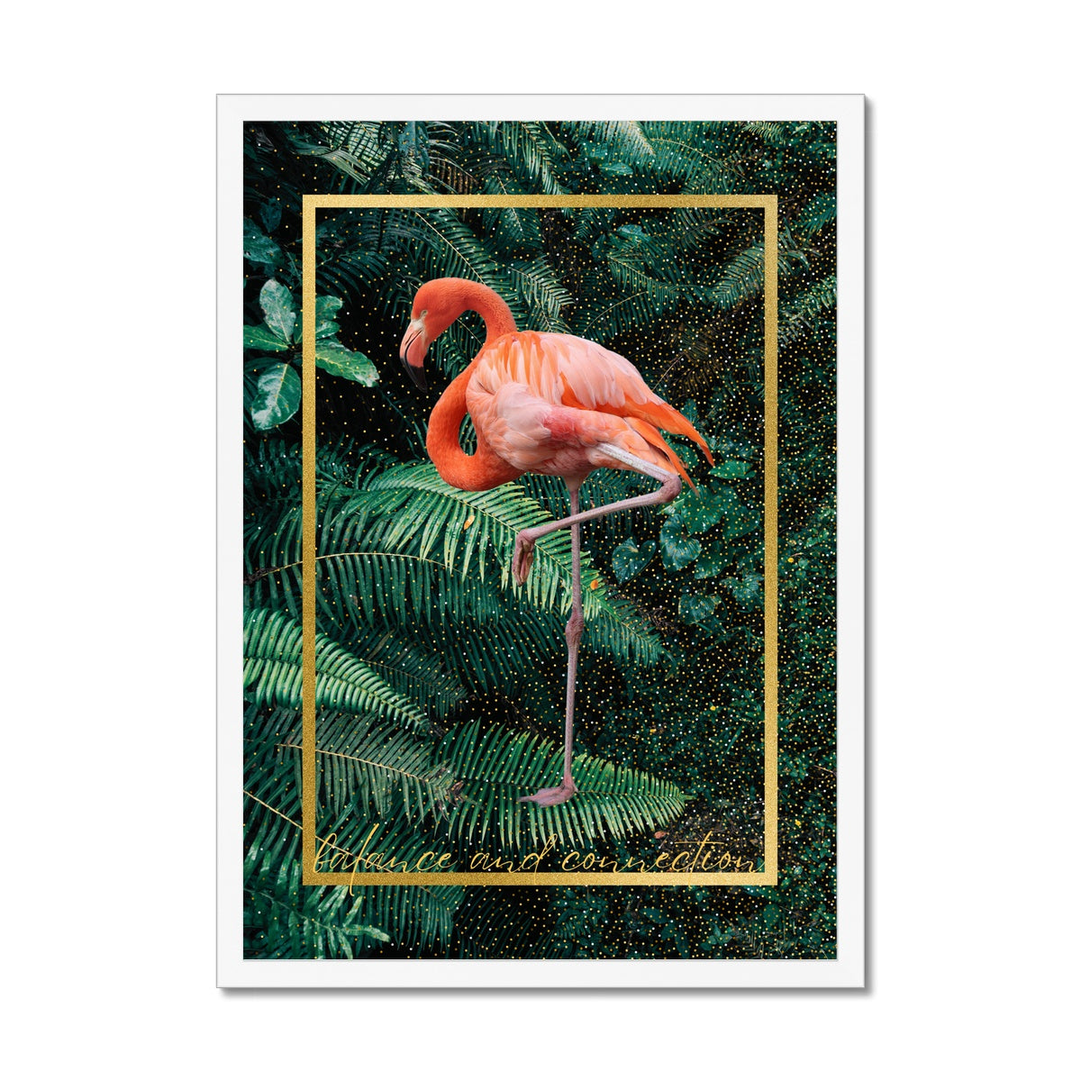 Flamingo. Balance & Connection