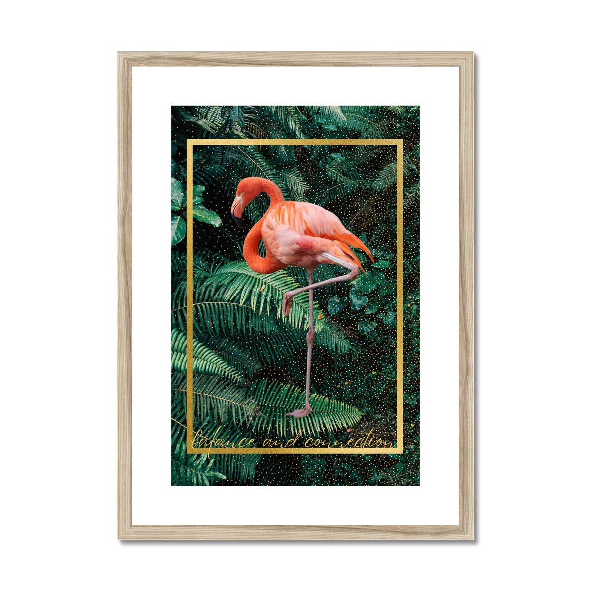 Flamingo. Balance & Connection