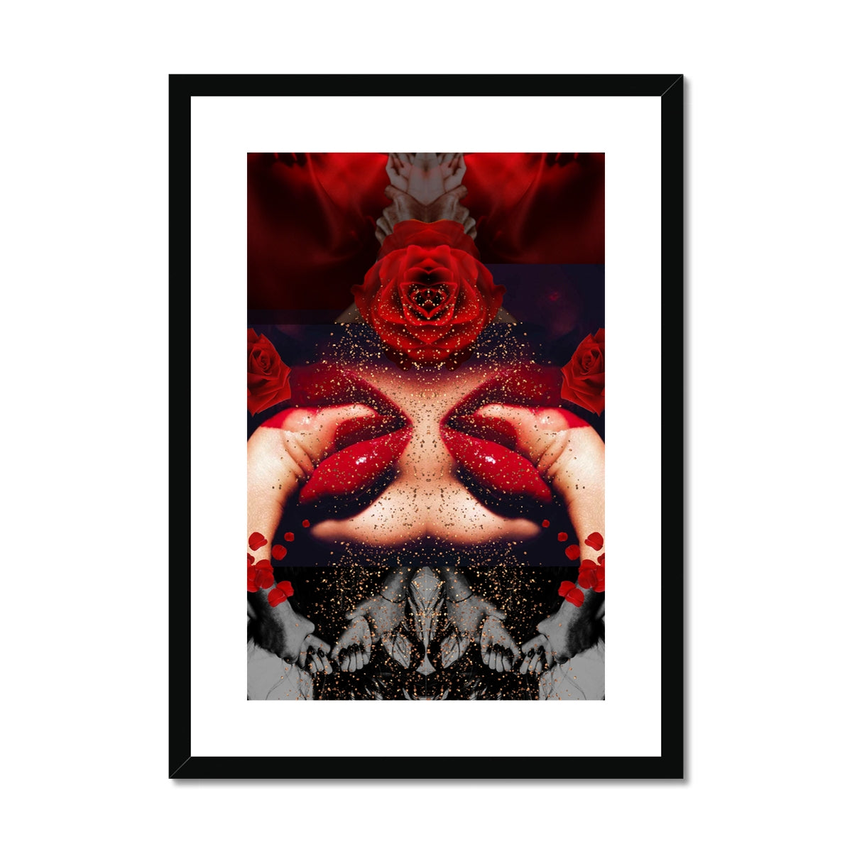 The Rose In Bloom
