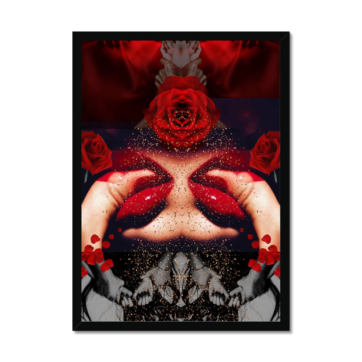 The Rose In Bloom