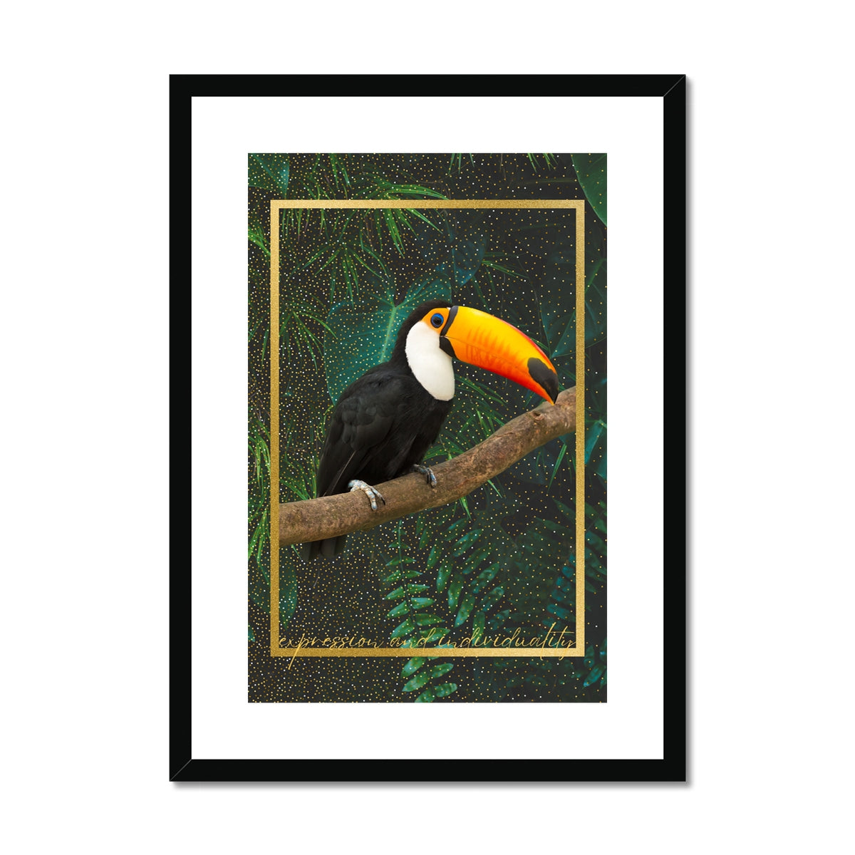 Toucan. Expression & Individuality