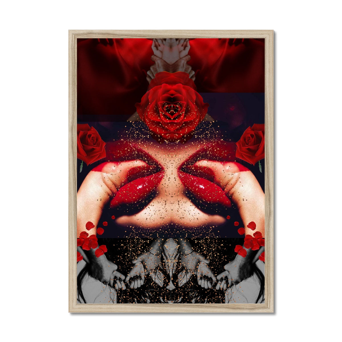 The Rose In Bloom