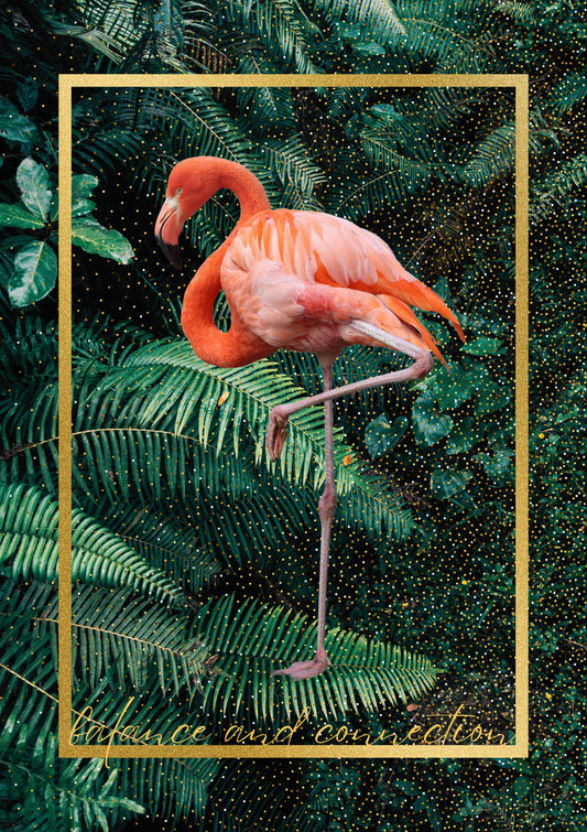 Flamingo. Balance & Connection