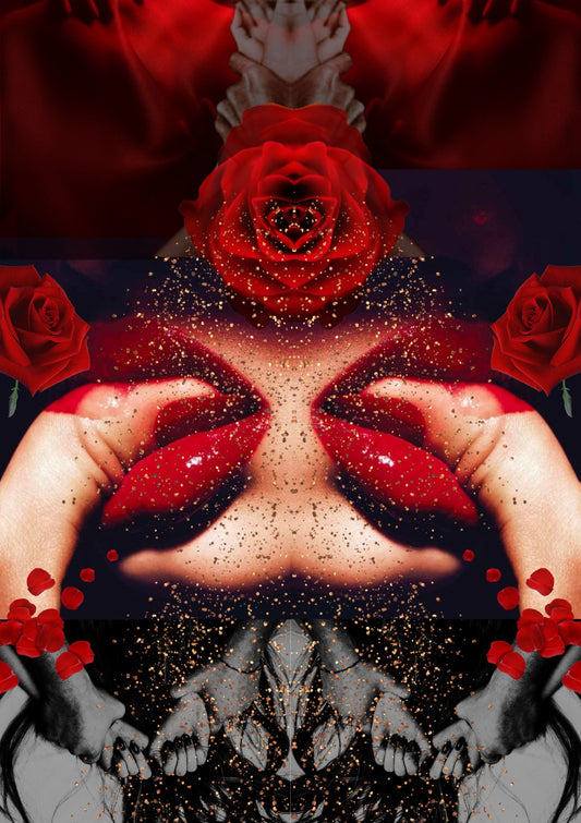 The Rose In Bloom