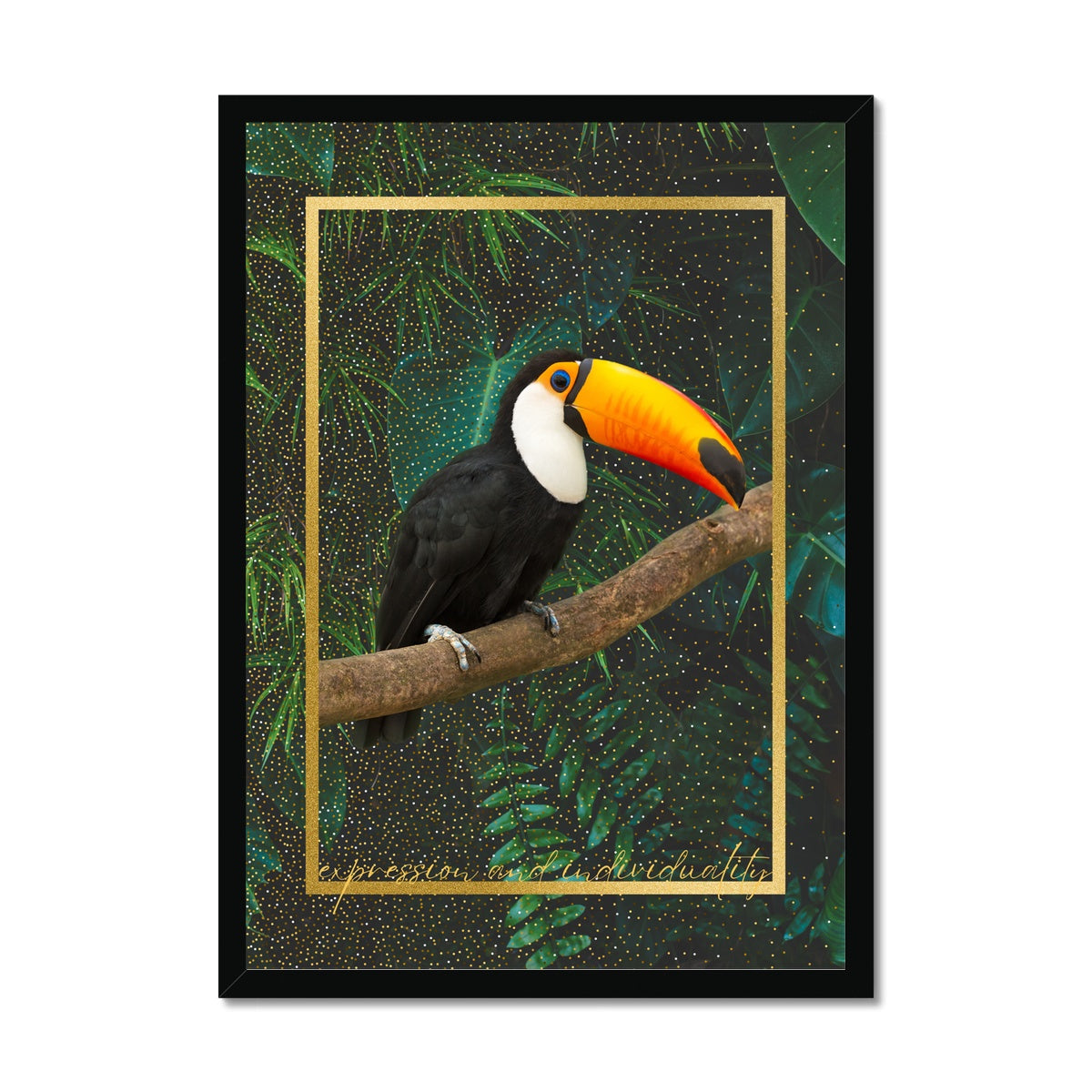 Toucan. Expression & Individuality