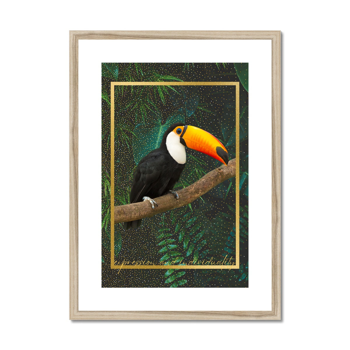 Toucan. Expression & Individuality