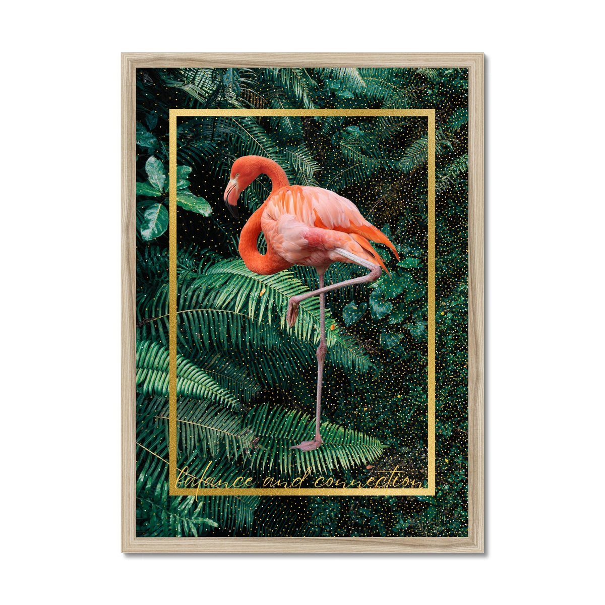 Flamingo. Balance & Connection