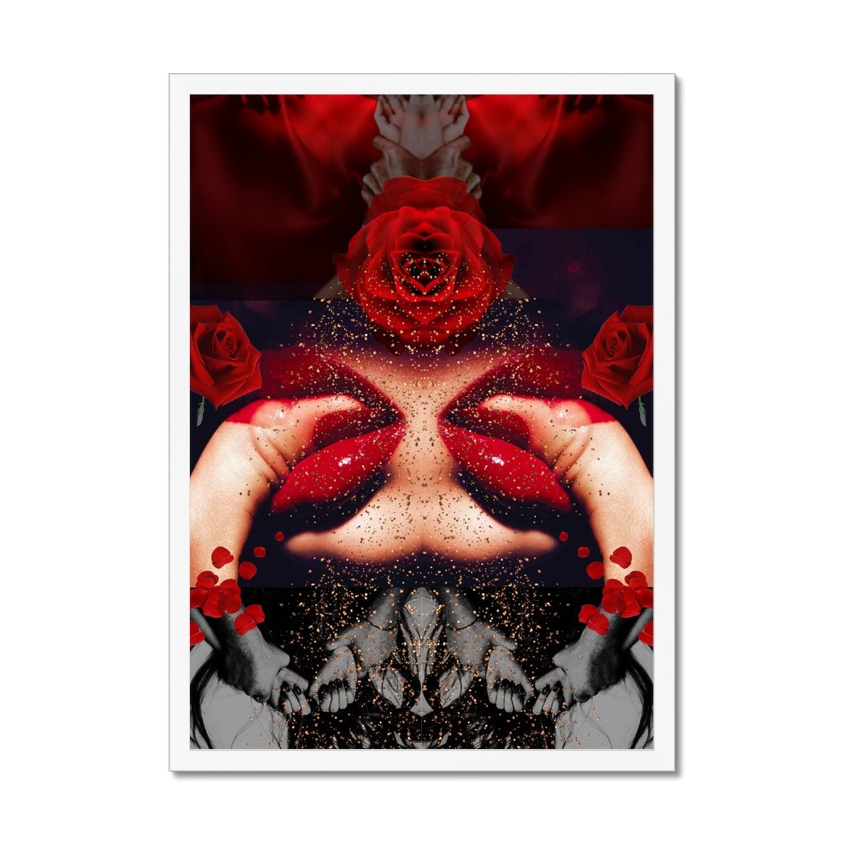 The Rose In Bloom