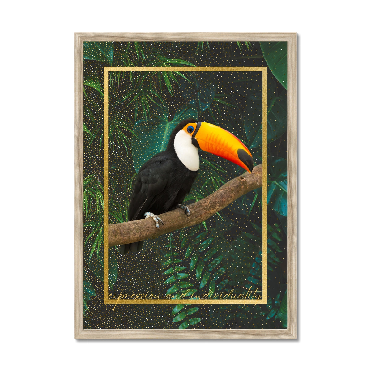 Toucan. Expression & Individuality
