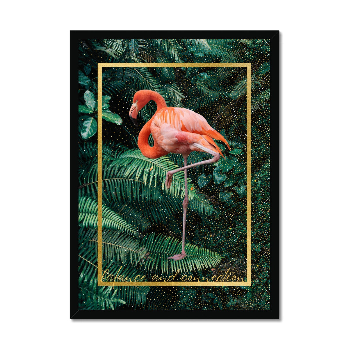 Flamingo. Balance & Connection