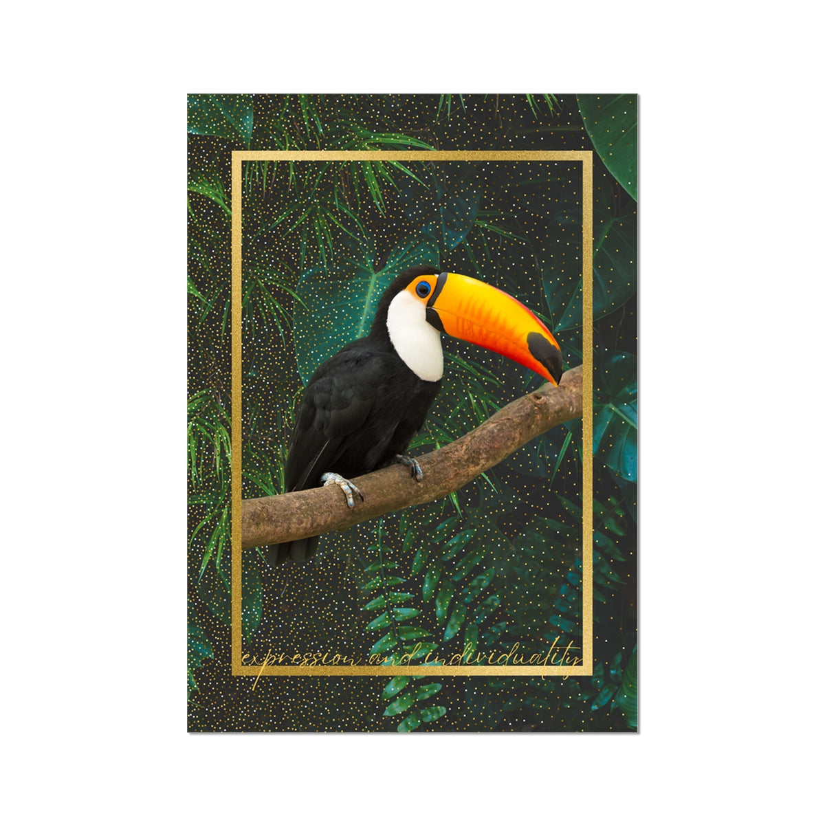 Toucan. Expression & Individuality