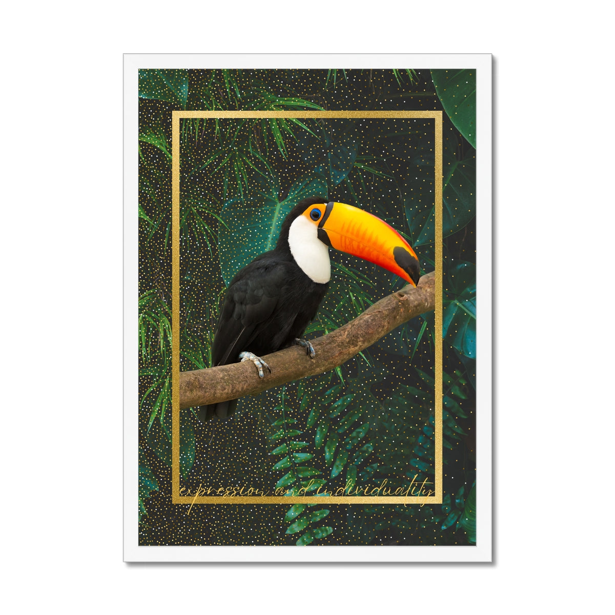 Toucan. Expression & Individuality