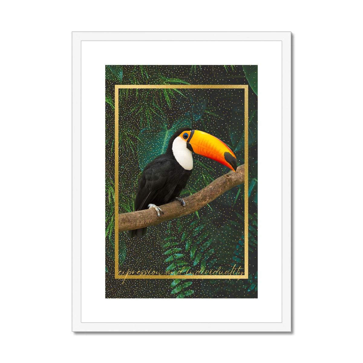 Toucan. Expression & Individuality