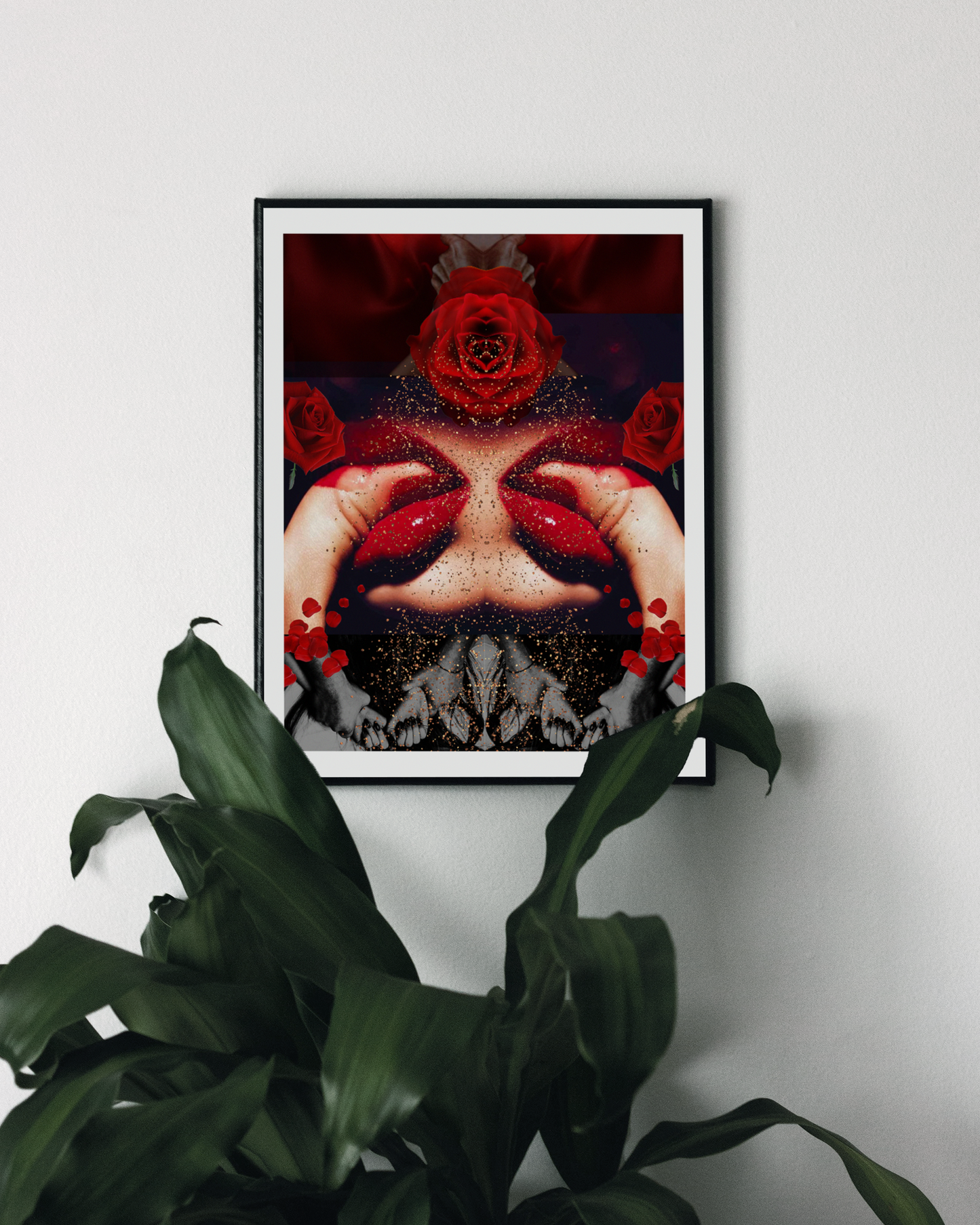The Rose In Bloom