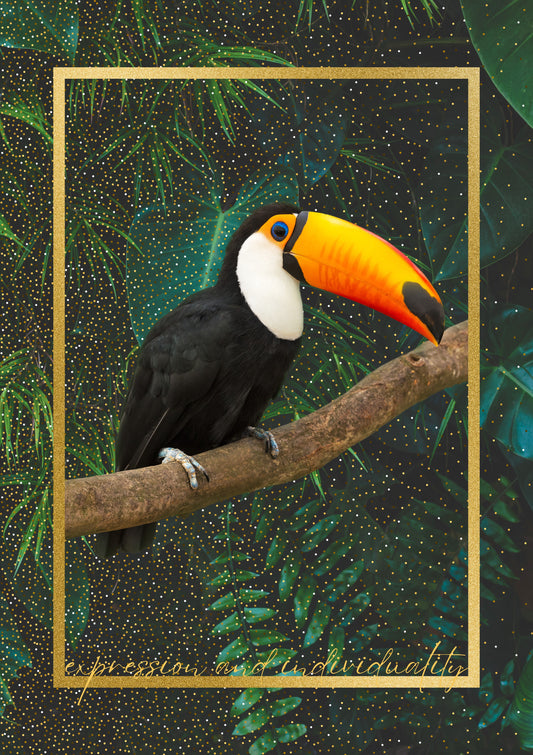 Toucan. Expression & Individuality